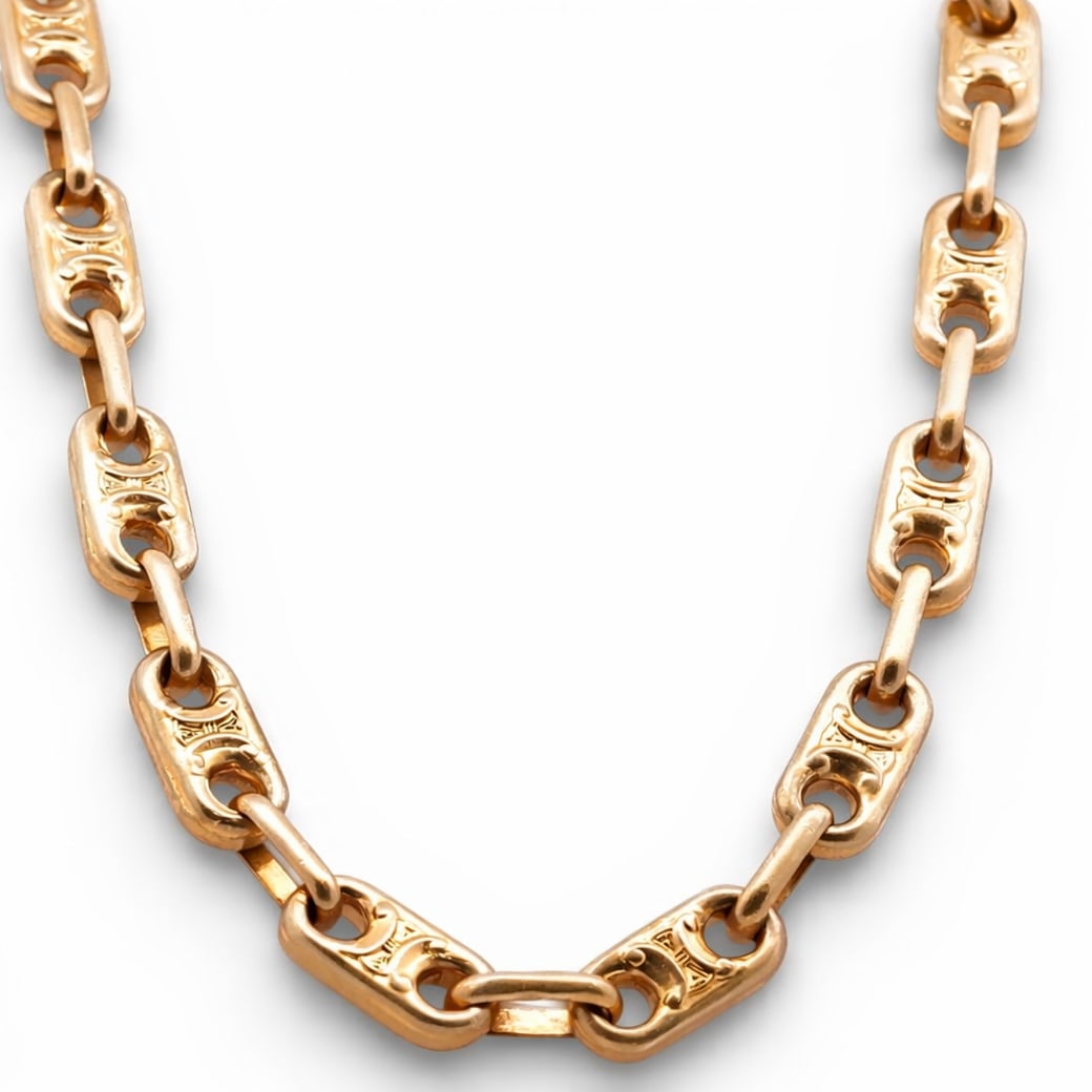 Celine Triomphe Chain Link Necklace (1 of 3)