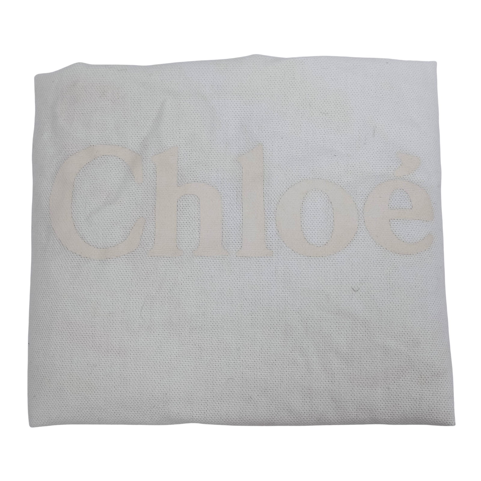 Chloe Silver Python Leather Buckle Handbag - 7