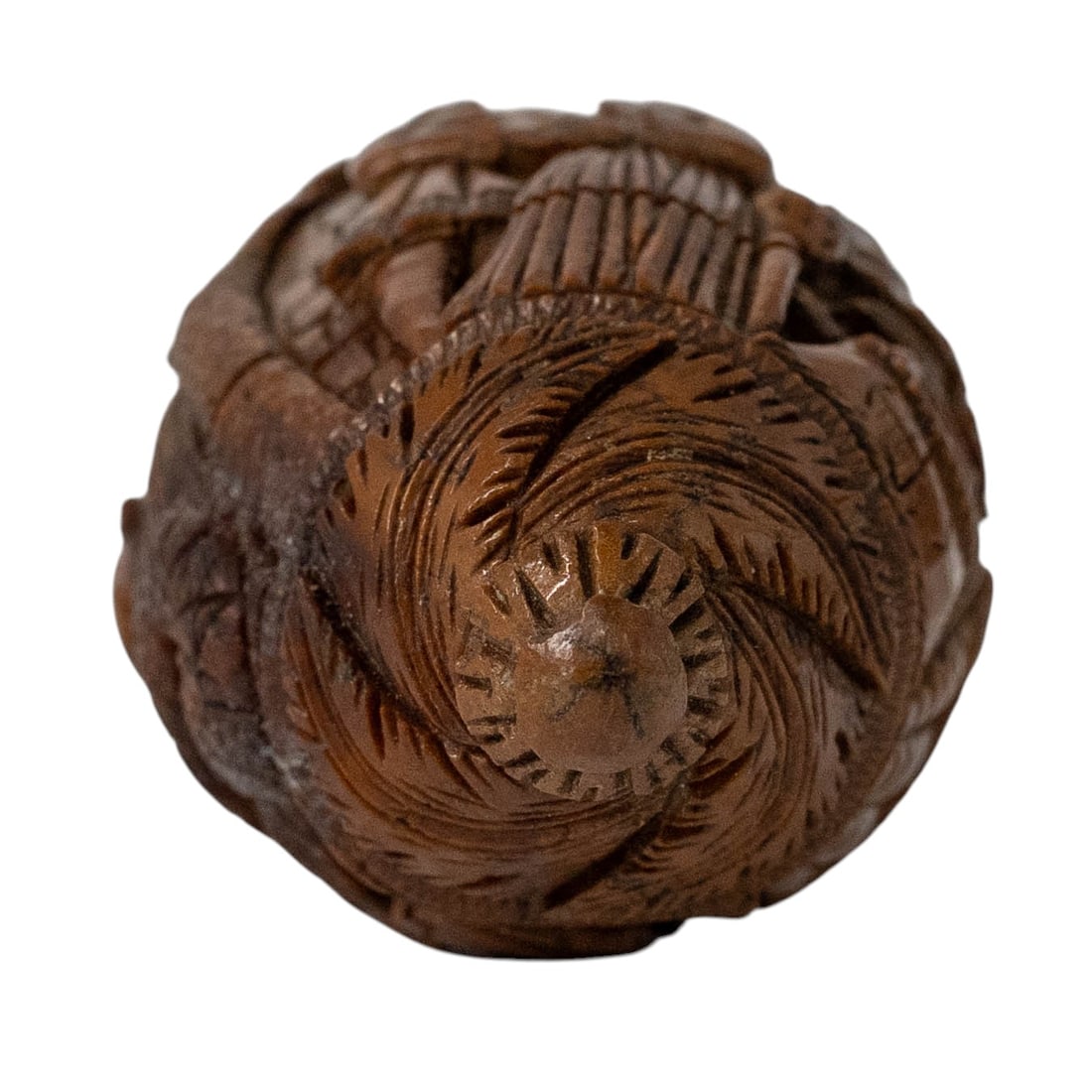 Antique Coquilla Nut Bugbear Snuff Flask - 4