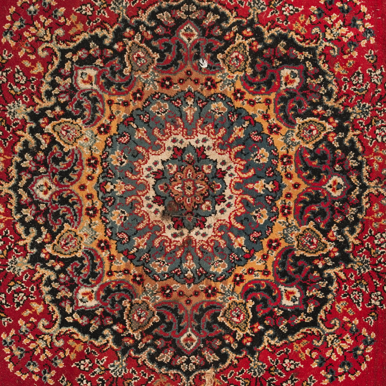 Persian Kerman Wool Area Rug - 2
