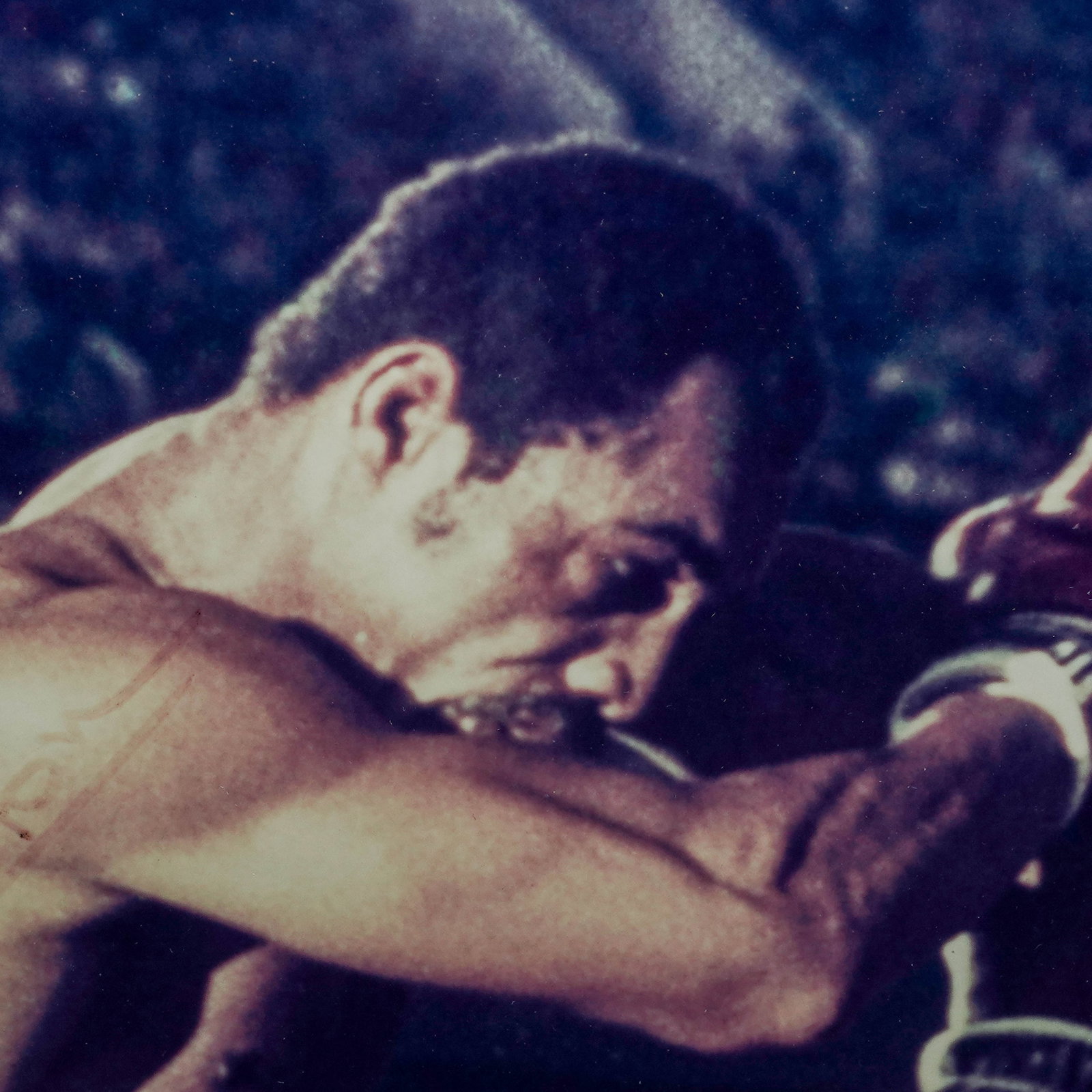 Muhammad Ali & Ken Norton (Autograph) Photograph - 5