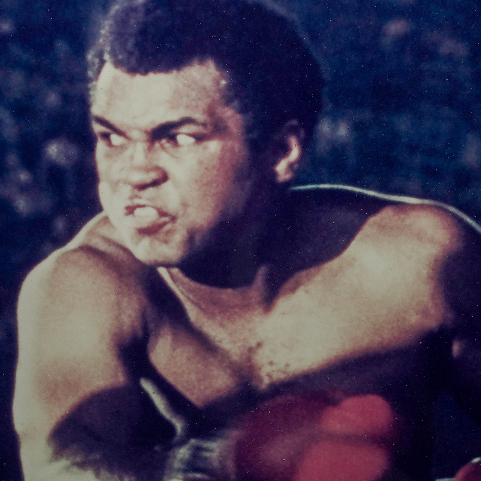 Muhammad Ali & Ken Norton (Autograph) Photograph - 6