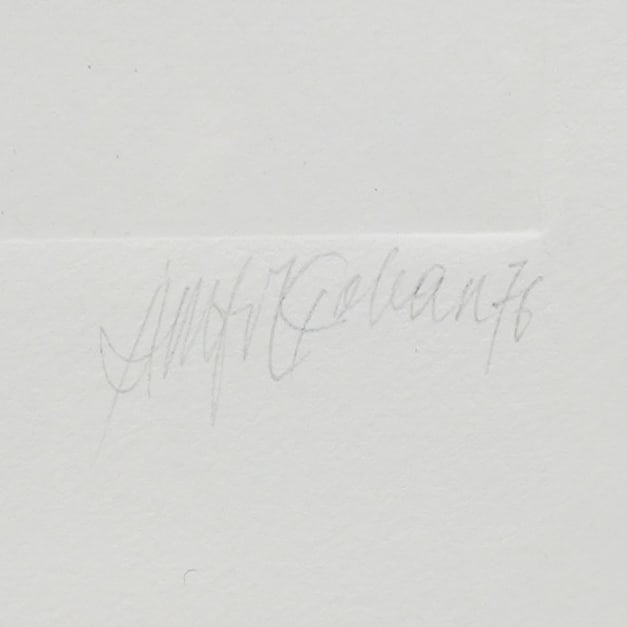 Signed Limited Edition Etching with Aquatint - 4