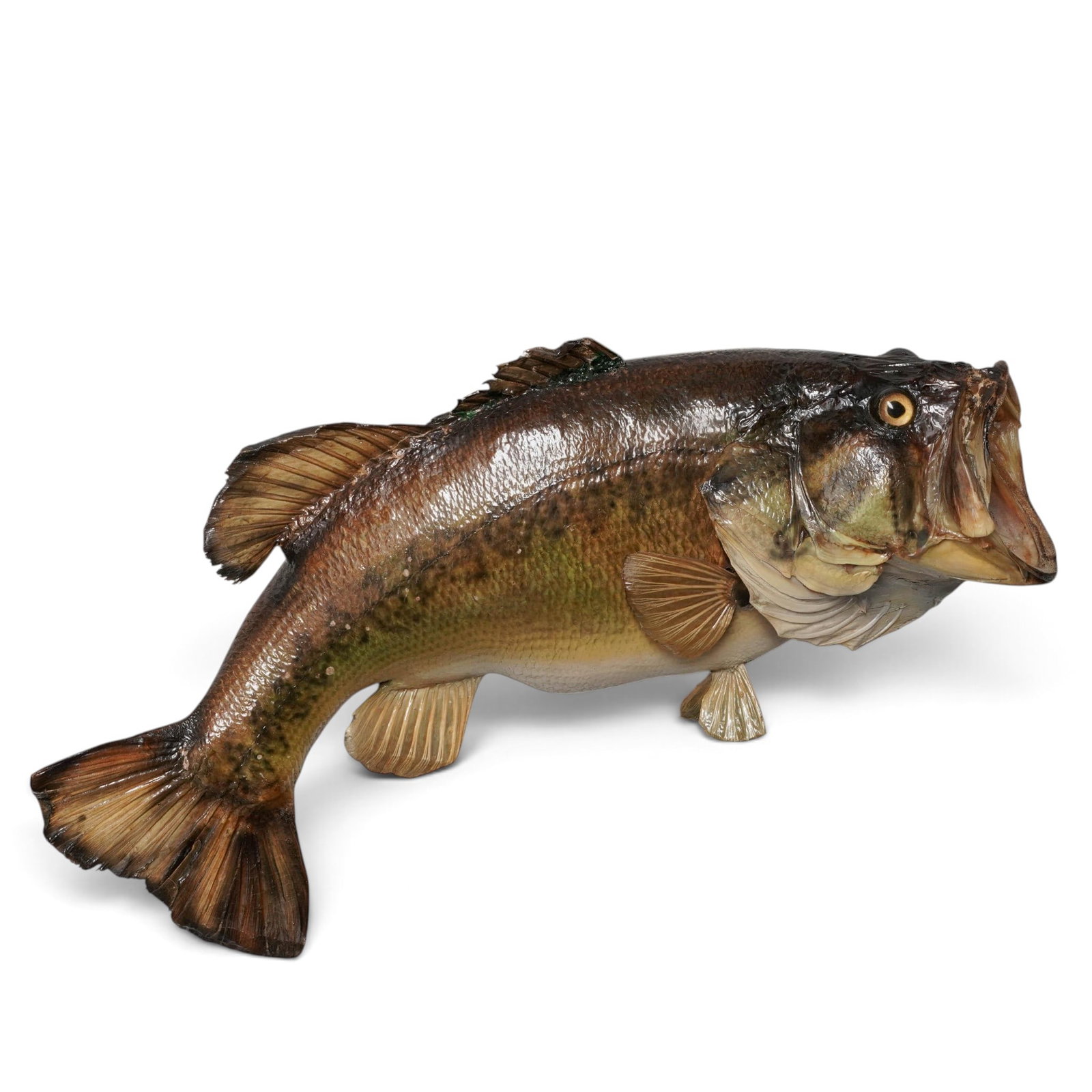 Vintage Taxidermy Trophy Mount Largemouth Bass: Vintage Taxidermy Trophy Mount Largemouth Bass 20th Cent The fish is a largemouth bass (Micropterus salmoides), prepared as a classic skin mount that has been meticulously painted to preserve the spec