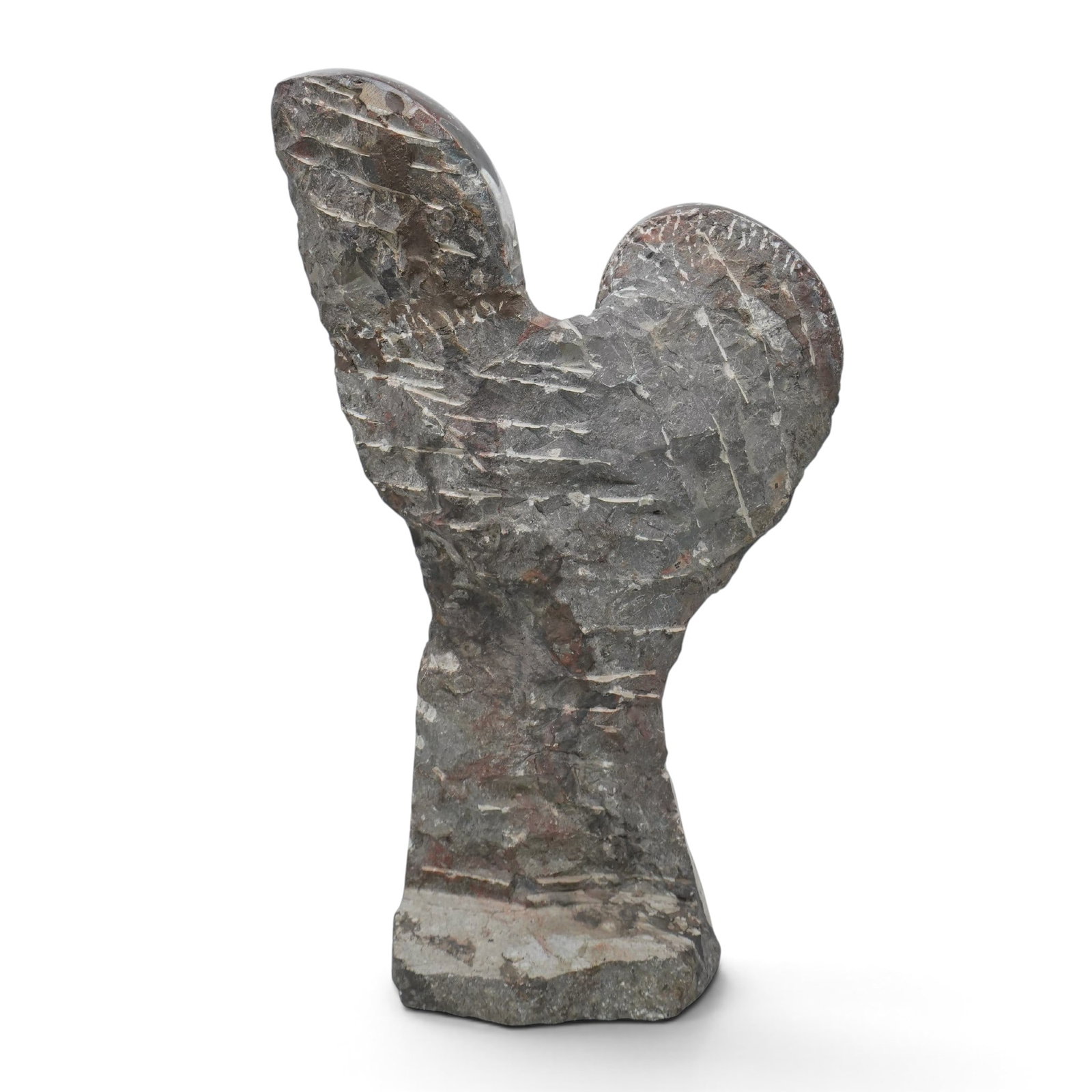 Fossil Ammonites Sculpture - 4