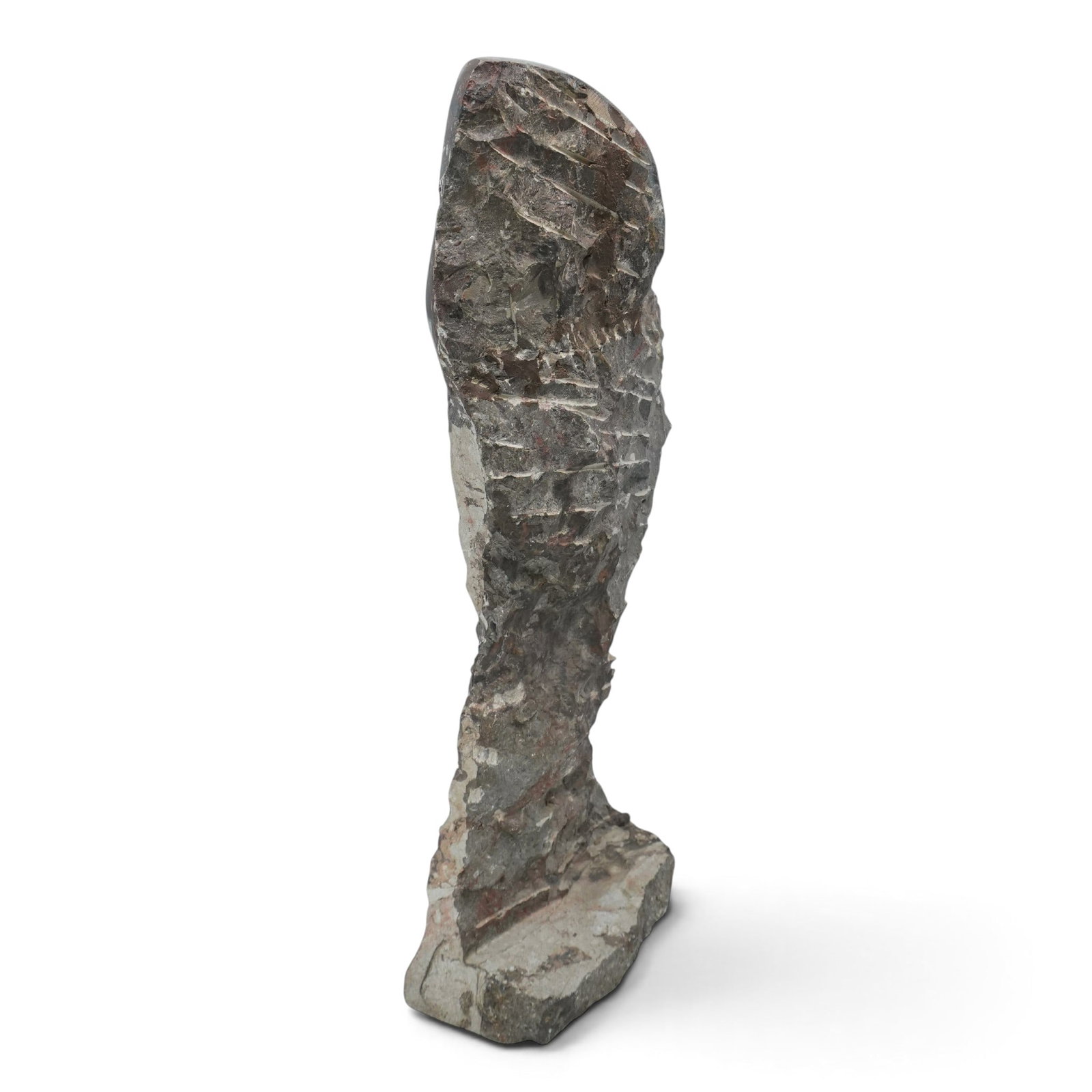 Fossil Ammonites Sculpture - 5