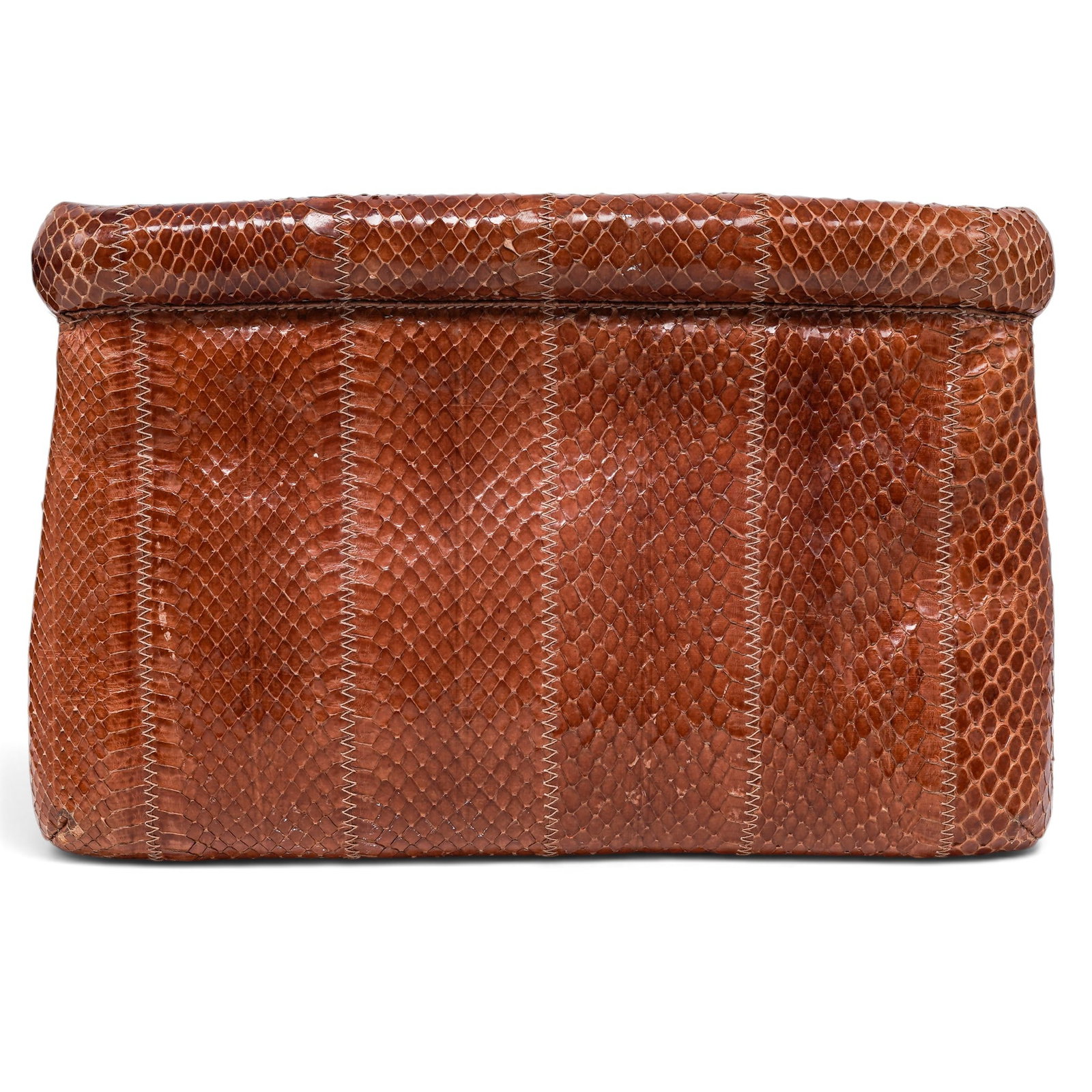Susan Gail Vintage Cognac Python Clutch (1 of 6)