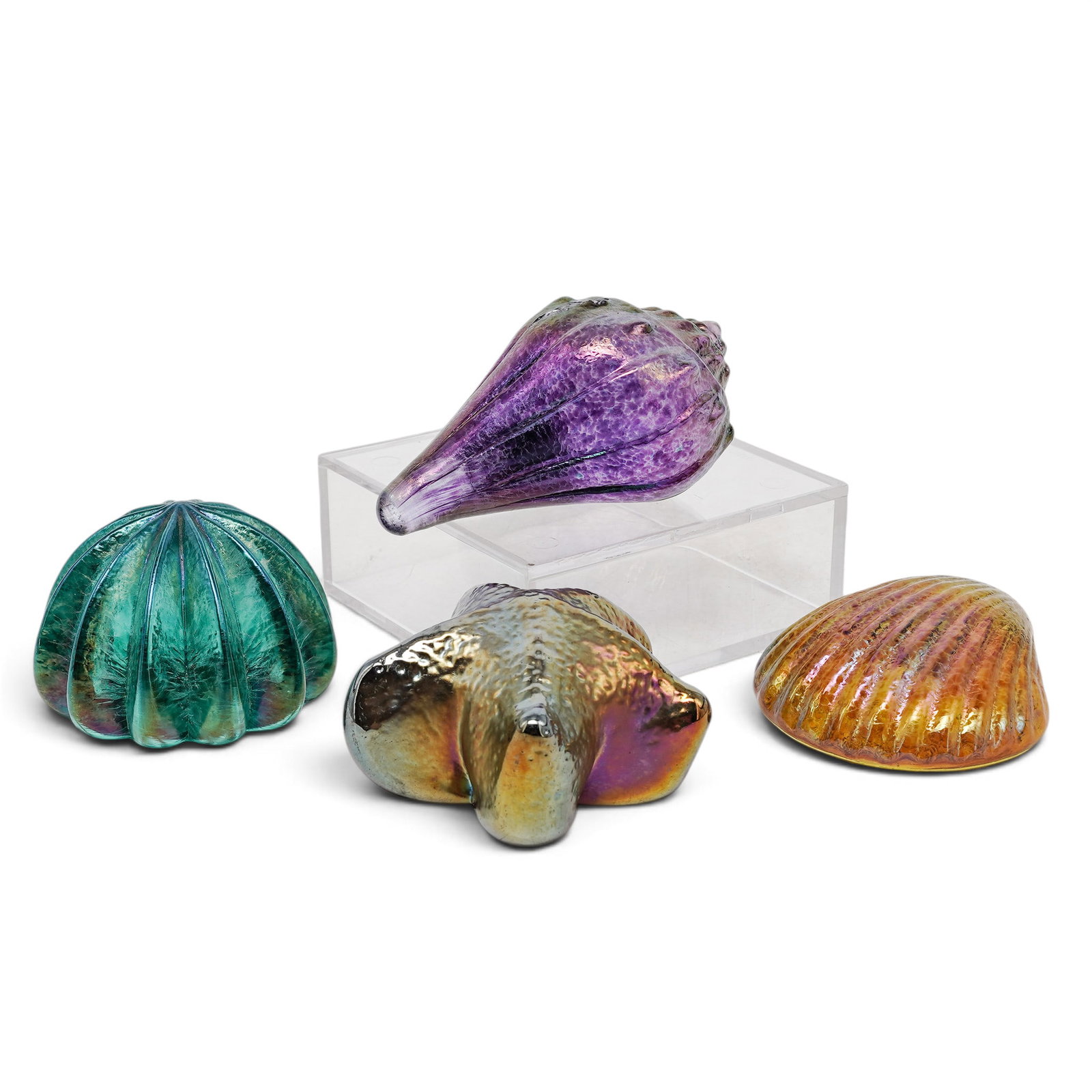 (4 pc) Robert Held (Canadian, 1943-) Art Glass Seashells: (4 pc) Robert Held (Canadian, 1943-) Art Glass Seashells 20th Century, Canada Artist/Designer/Manufacturer: Robert Held. Marking(s): None. Materials: Art glass. Cataloger Note: Set of four small