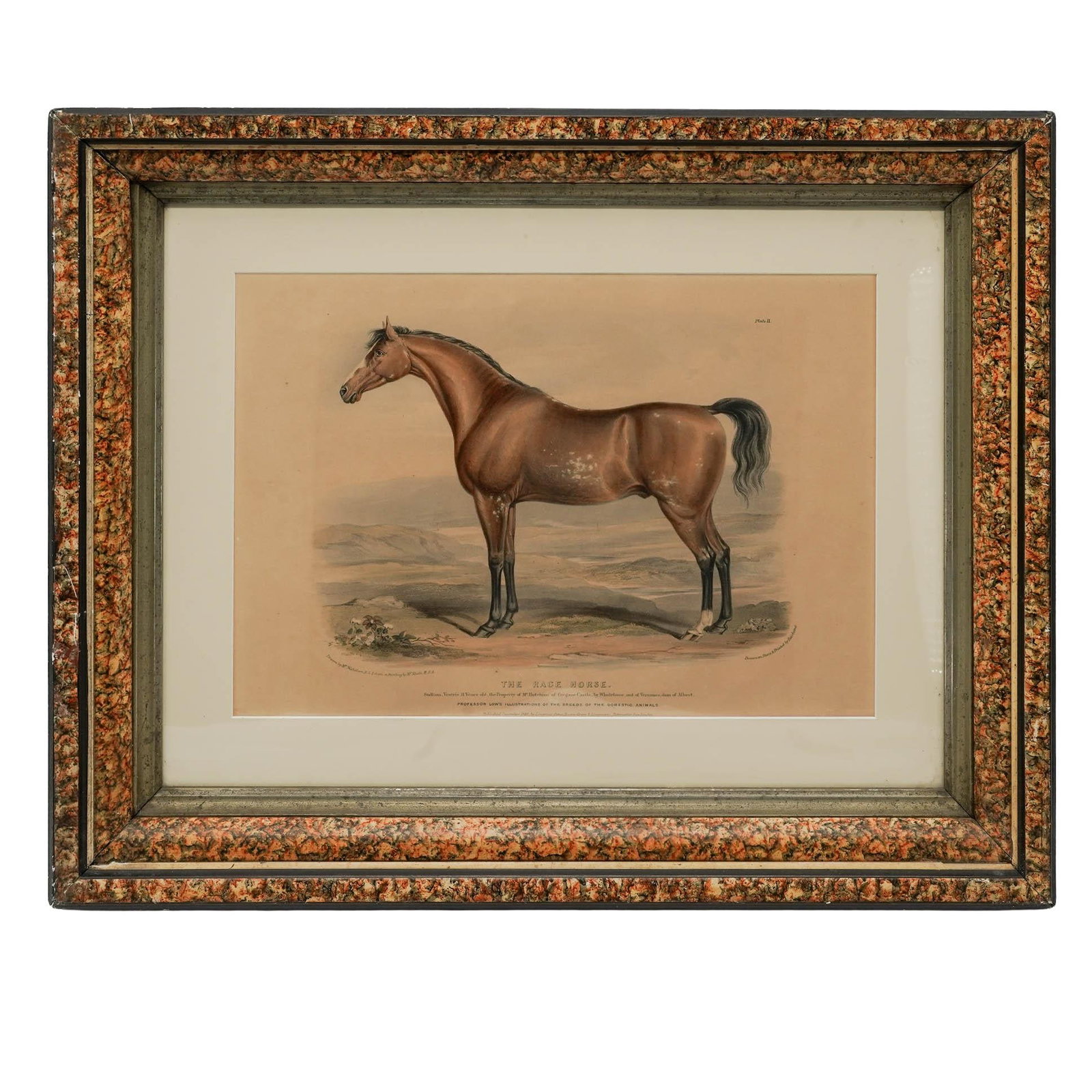 Equestrian Portrait "The Race Horse" Lithograph: Equestrian Portrait "The Race Horse" Lithograph 1840, England Artist/Designer/Manufacturer: William Shiels, R.S.A.; William Nicholson, R.S.A.; published by Longman, Orme, Brown, Green & Longmans.