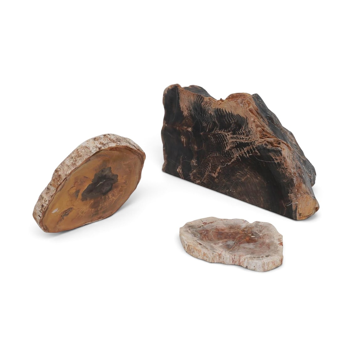(3 pc) Polished Petrified Wood Specimens: (3 pc) Polished Petrified Wood Specimens Madagascar Artist/Designer/Manufacturer: Unknown. Marking(s): None. Materials: Petrified wood. Cataloger Note: Collection of polished petrified wood