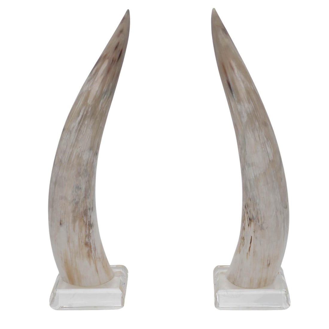 Pair of Natural Steer Horns On Lucite Base (1 of 6)