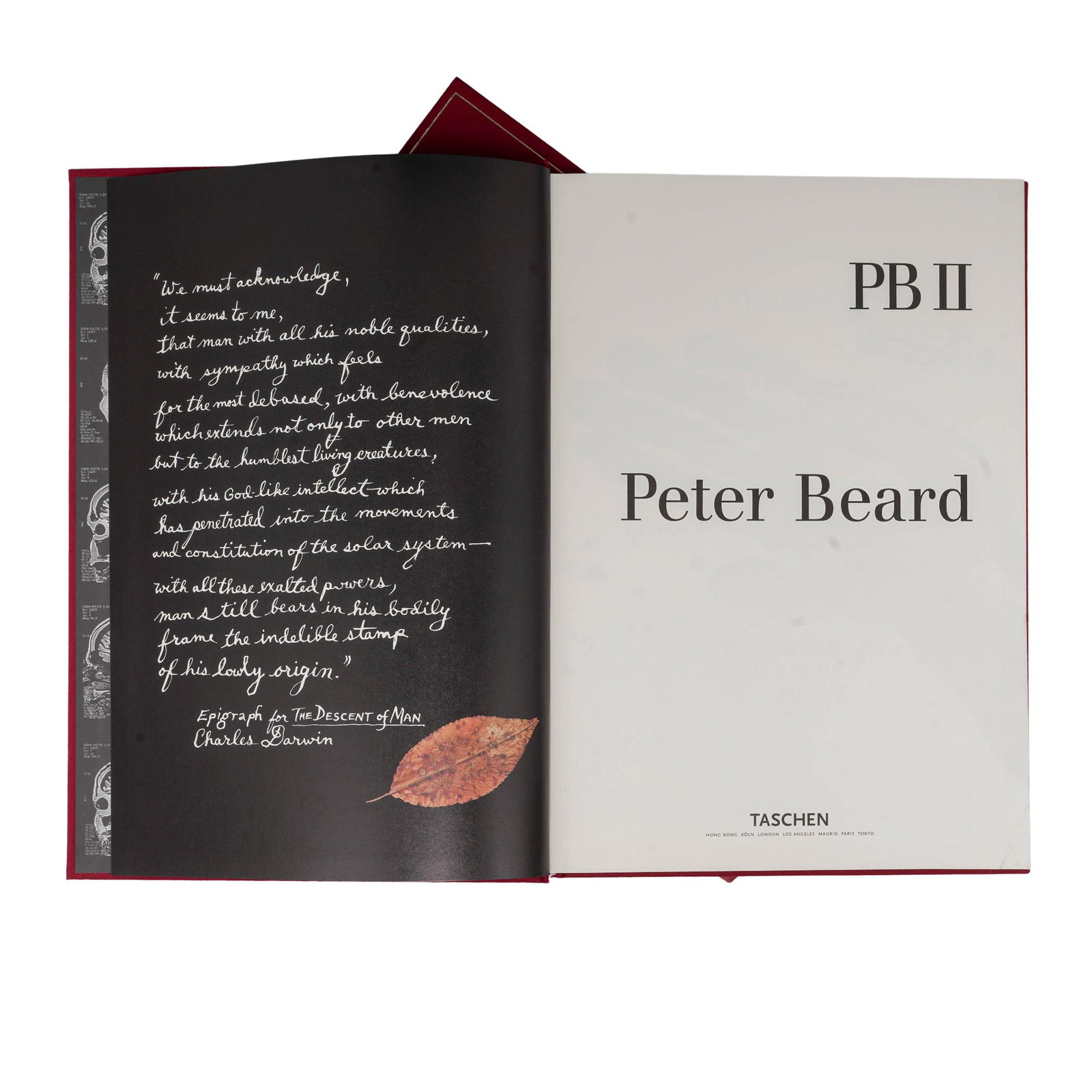 Taschen Peter Beard 2-Volume Set - 7