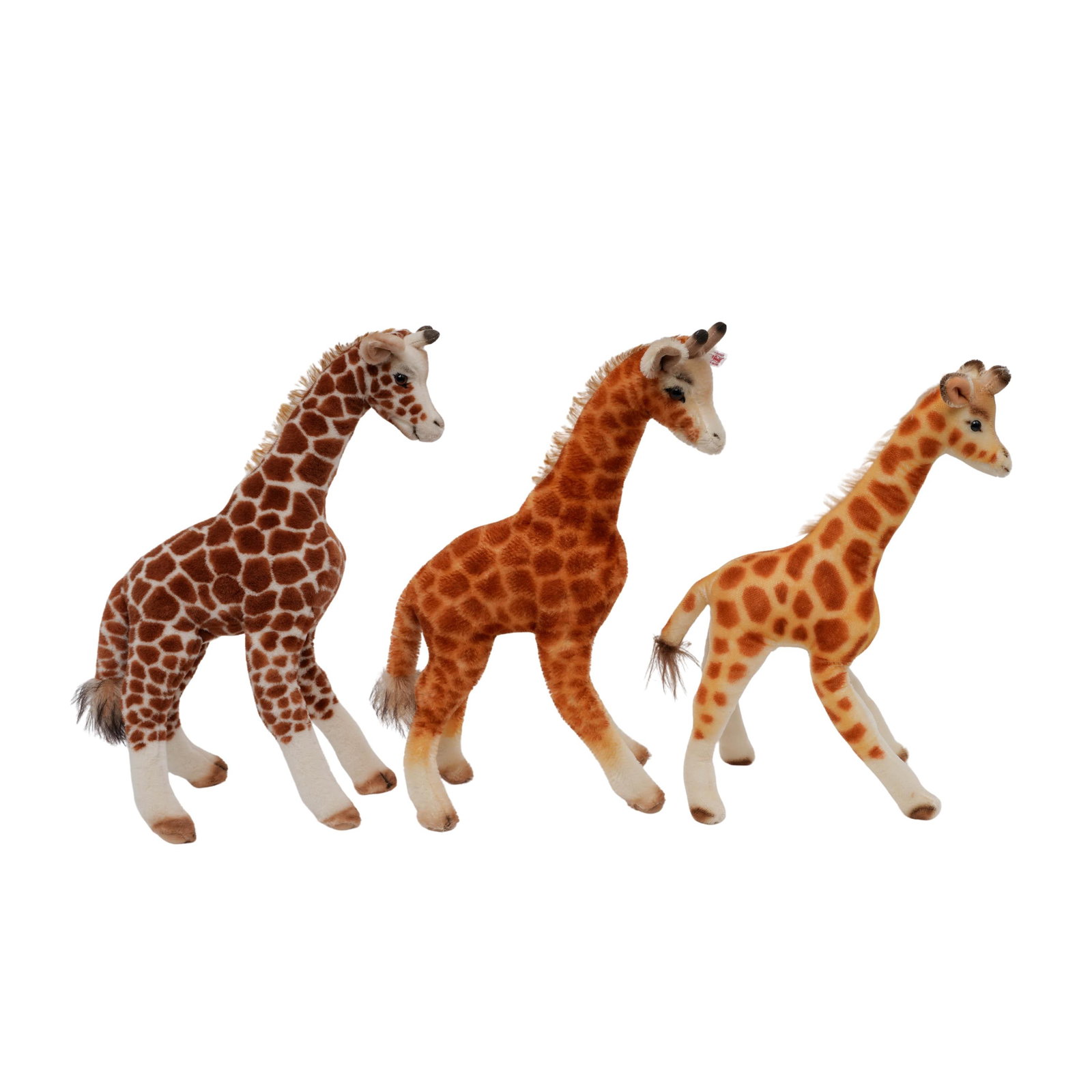 (3 pcs) Steiff Giraffes - 2