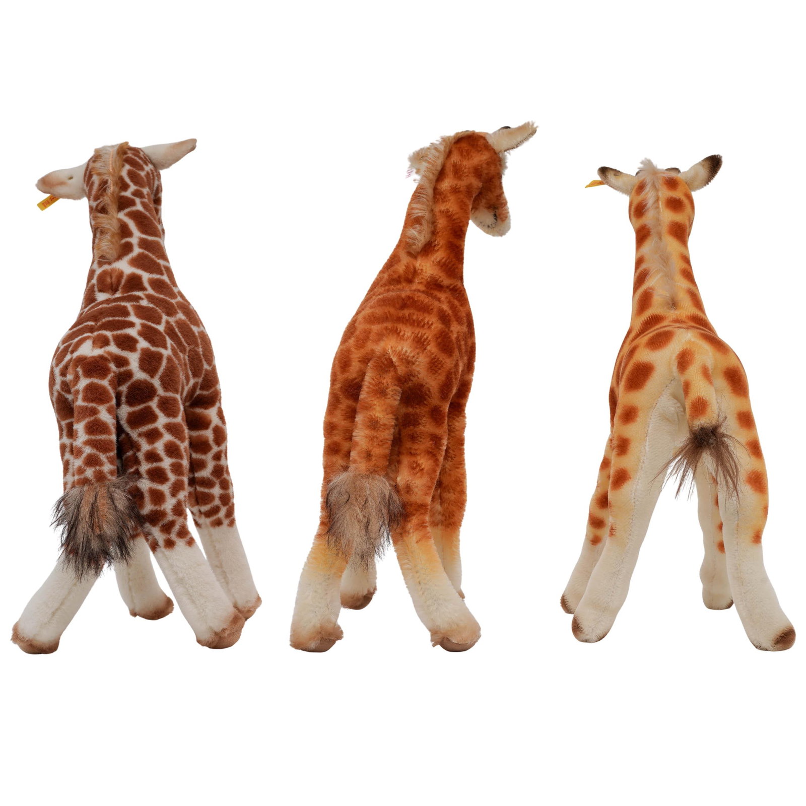 (3 pcs) Steiff Giraffes - 4