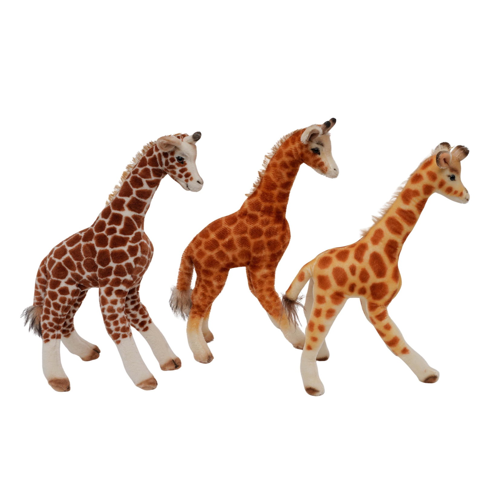 (3 pcs) Steiff Giraffes - 5