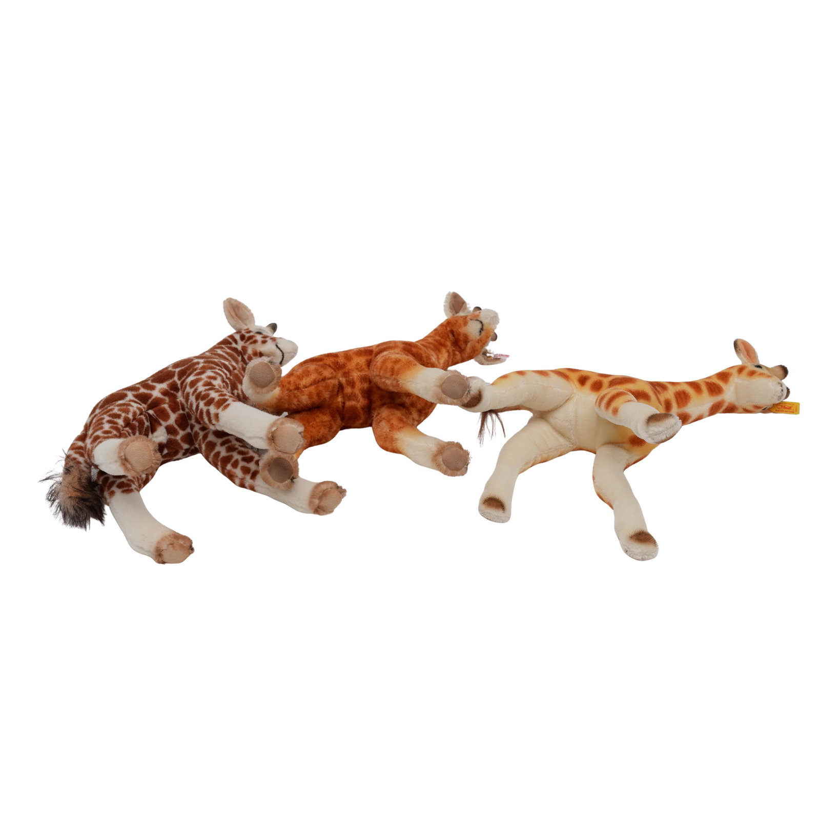 (3 pcs) Steiff Giraffes - 6