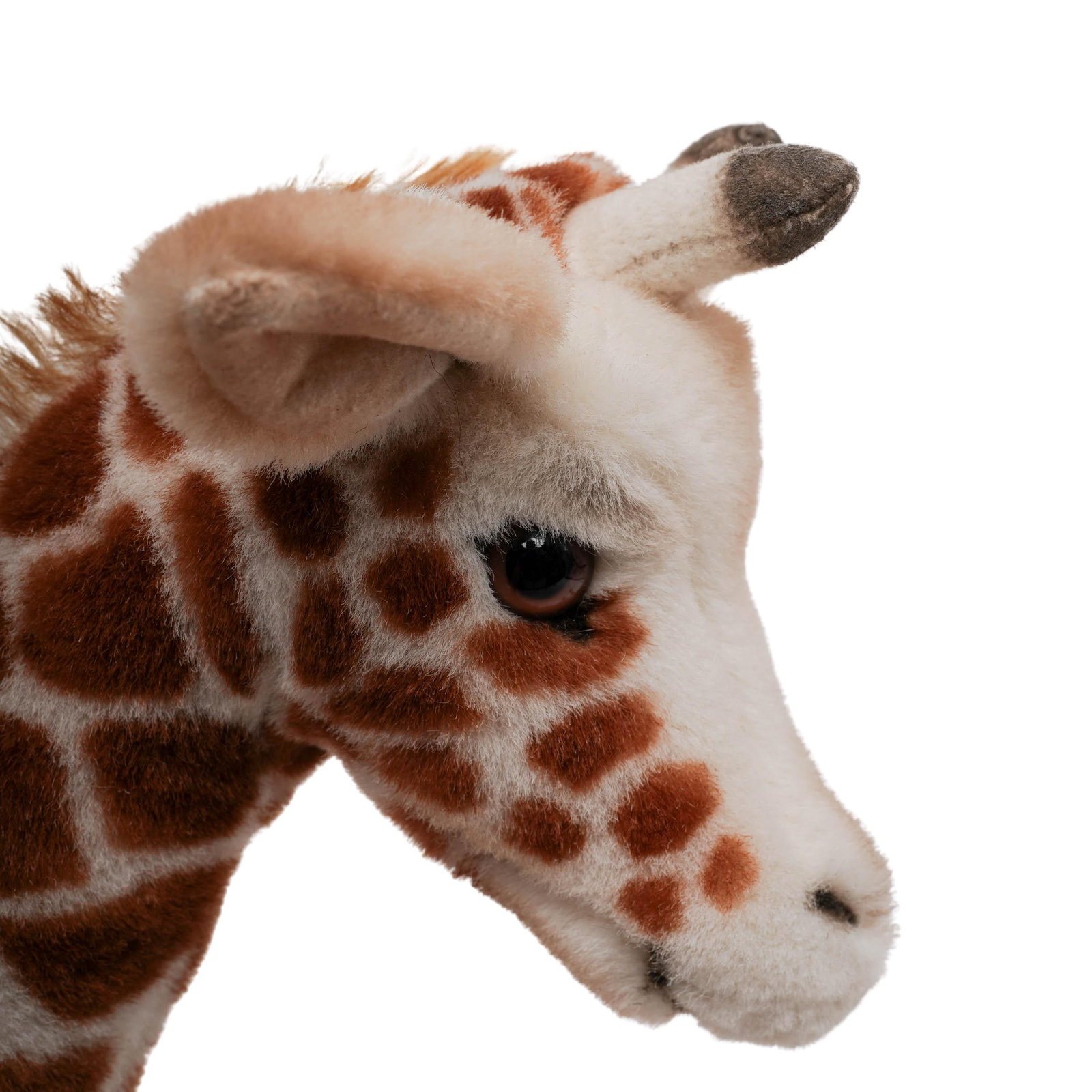 (3 pcs) Steiff Giraffes - 7