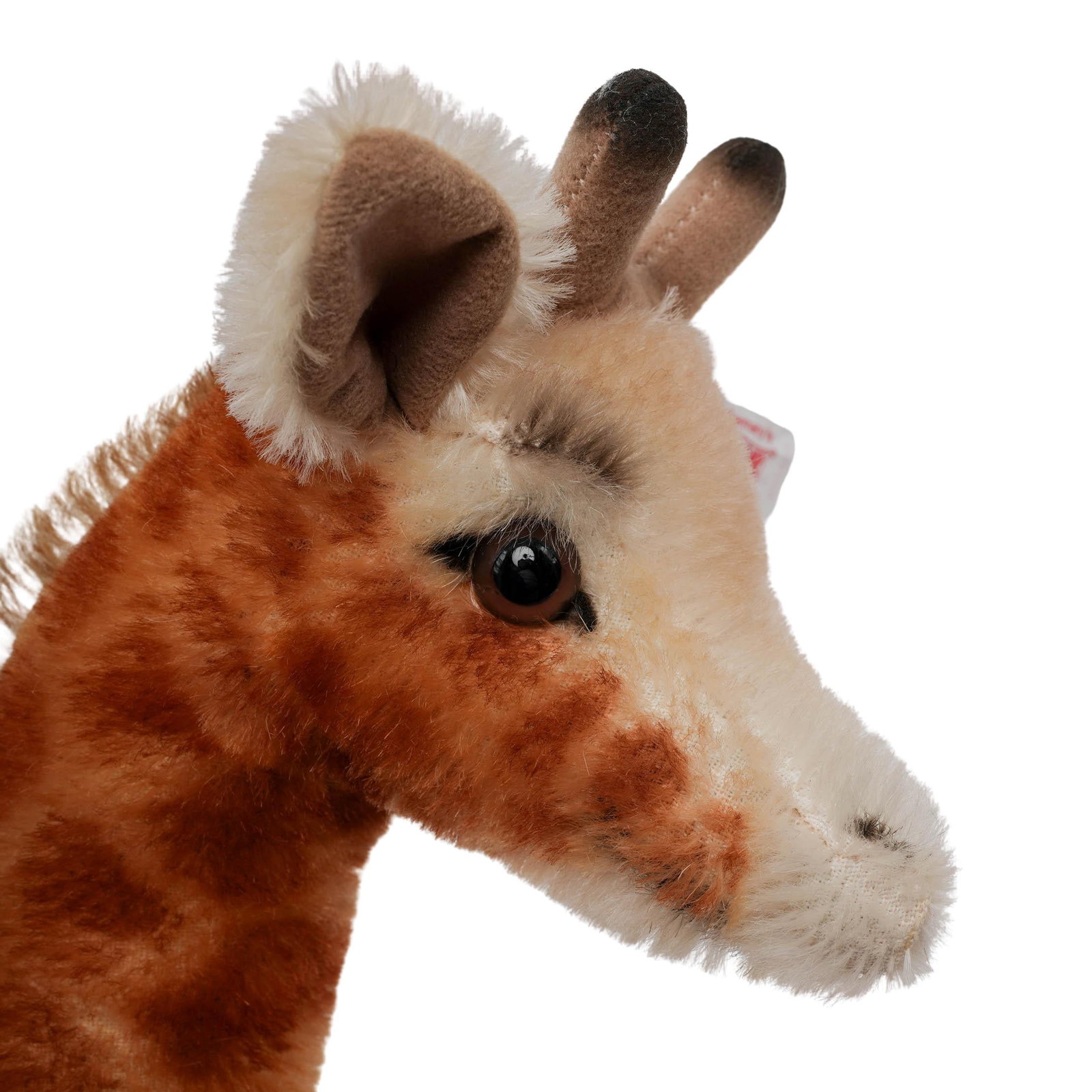 (3 pcs) Steiff Giraffes - 8