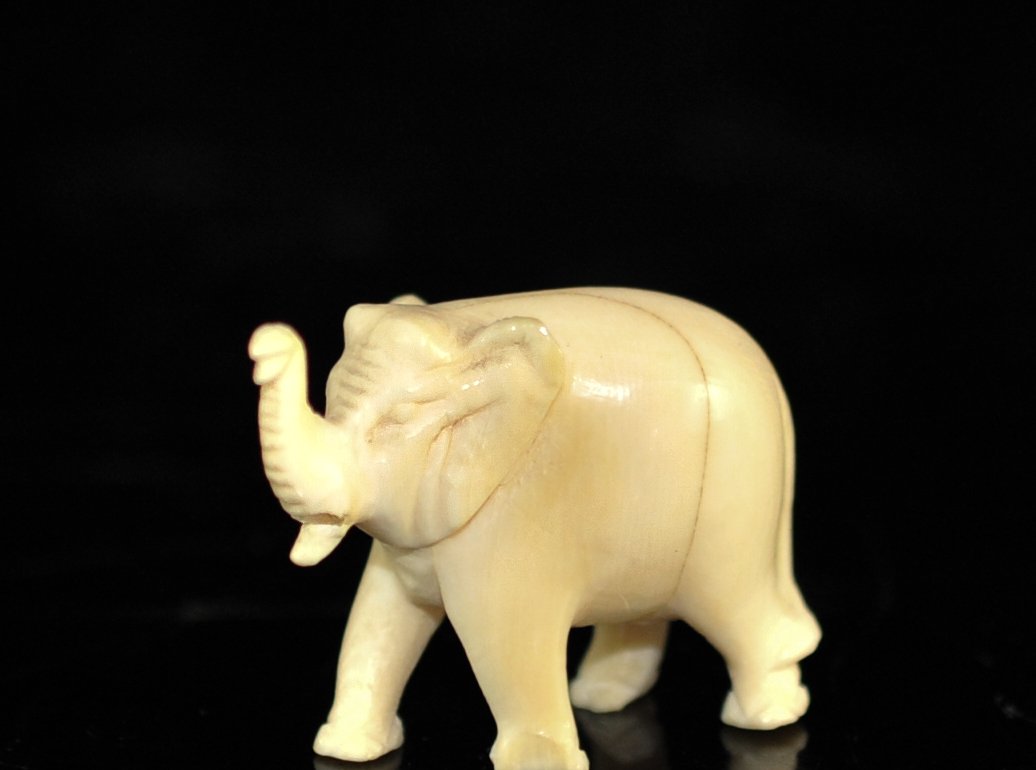 Miniature Chinese Ivory Elephant