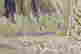 item-62090709=3