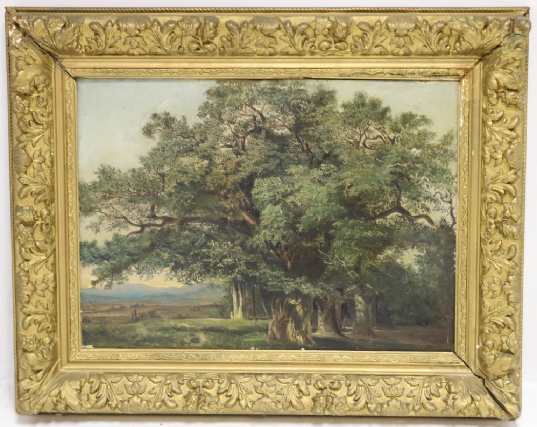 ATTRIBUTED TO ALEXANDRE CALAME (1810-1864,: SWITZERLAND AND FRANCE), OIL PAINTING ON CANVAS, TITLED "OAK TREE", SIGHT SIZE 13" X 17 1/2", OVERALL 19" X 23 1/2". IN CARVED AND GILDED FRAME WITH REPAIR TO LEFT CORNER. PAINTING SHOWS REPAIRED TEAR