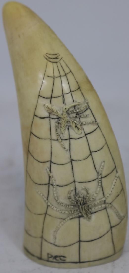 DECORATED WHALE'S TOOTH, 20TH C, WITH UNUSUAL: SPIDER WEB AND BUG DECORATION. 4 1/2" LONG, SIGNED "PRC". CANNOT BE SHIPPED OUT OF MASSACHUSETTS.
