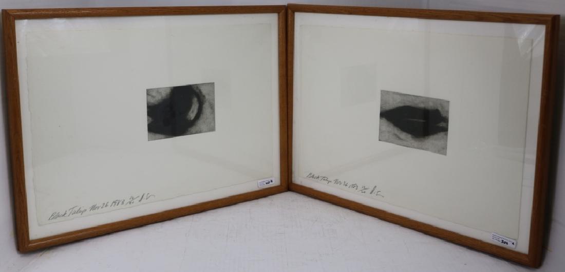 DONALD SULTAN (1951- ) ASHVILLE, NORTH CAROLINA: LOT OF 2 SIMILAR FRAMED PRINTS BOTH TITLED "BLACK TULIPS", TITLED, SIGNED AND NUMBERED IN PENCIL LOWER LEFT; SIGHT SIZE 13" X 21", OVERALL 16" X 23 1/2".