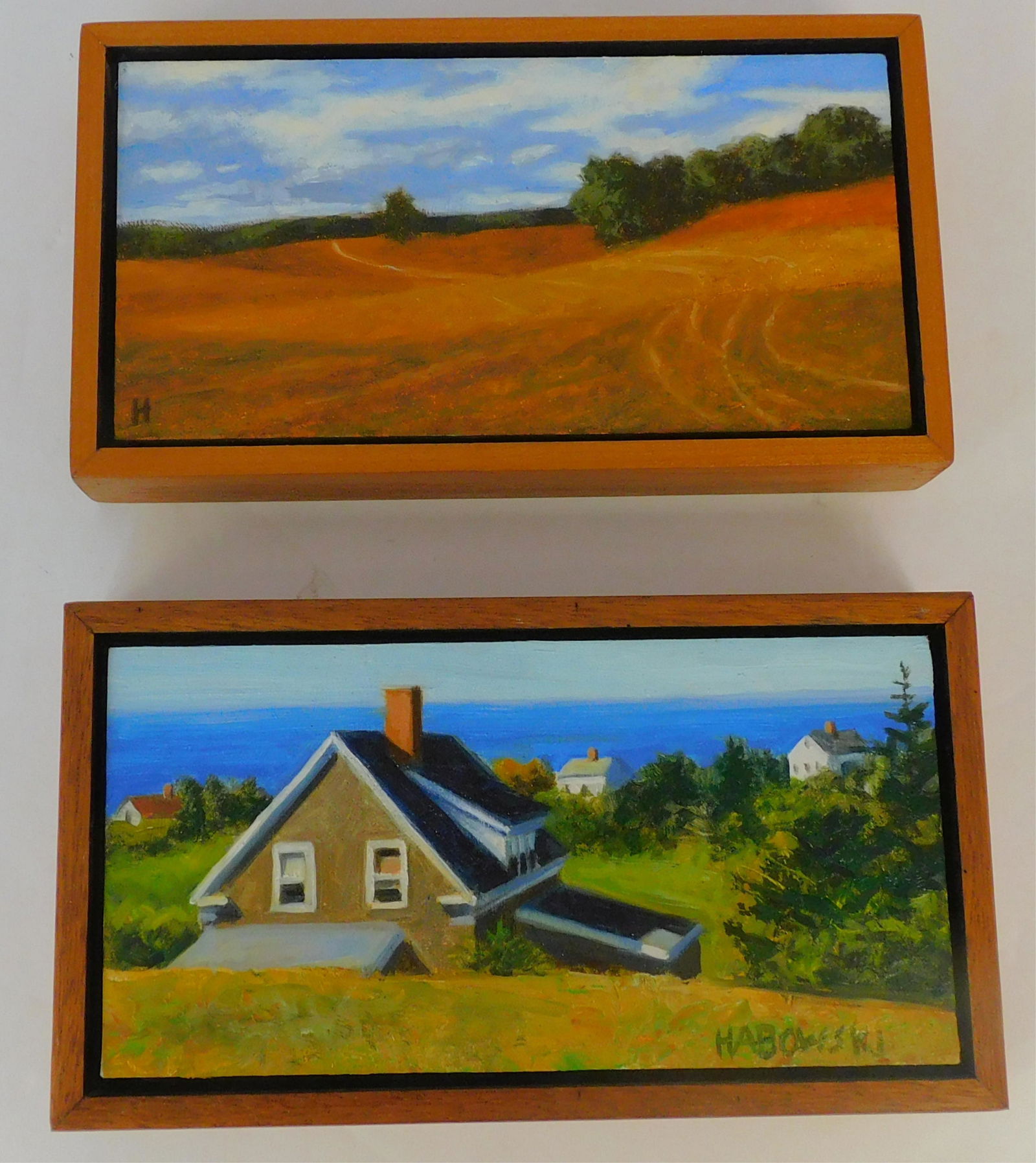 2 paintings by Bruce Habowski: (20th /21st century), Jr., on masonite board. One is titled Monhegan Hill View, dated 2006, signed lower right, 4 1/4" x 8", in shadow oak frame, 5" x 8 3/4". The other is titled What Lies Beyond, sig