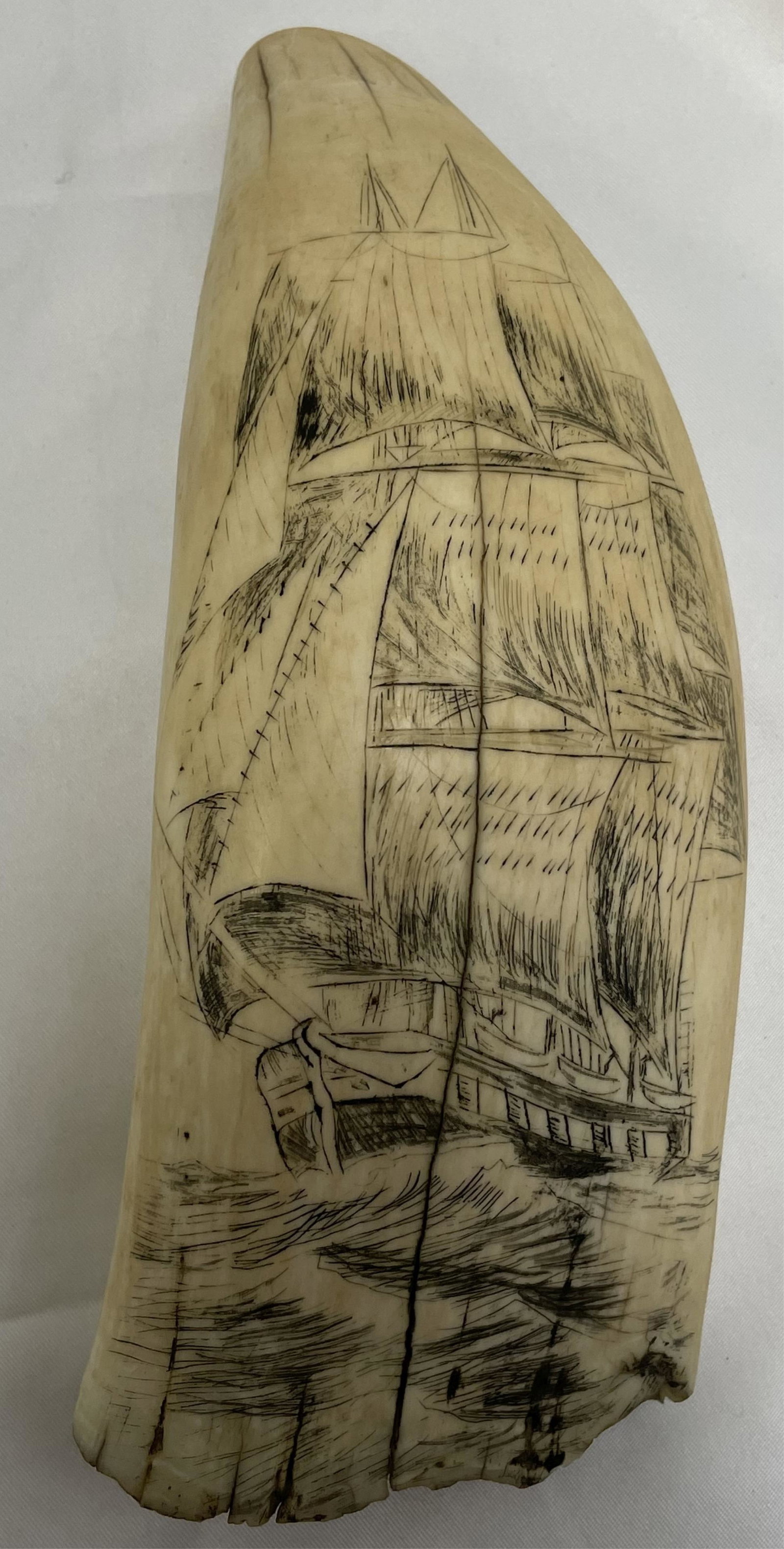 Early 20th century monochrome scrimshaw whale's tooth,: depicts a ship under sail, bow view. The back side is unpolished. Some chips to the base, and one large crack in center and on verso. 7 1/4" tall, 3" wide, 1 3/4" deep.