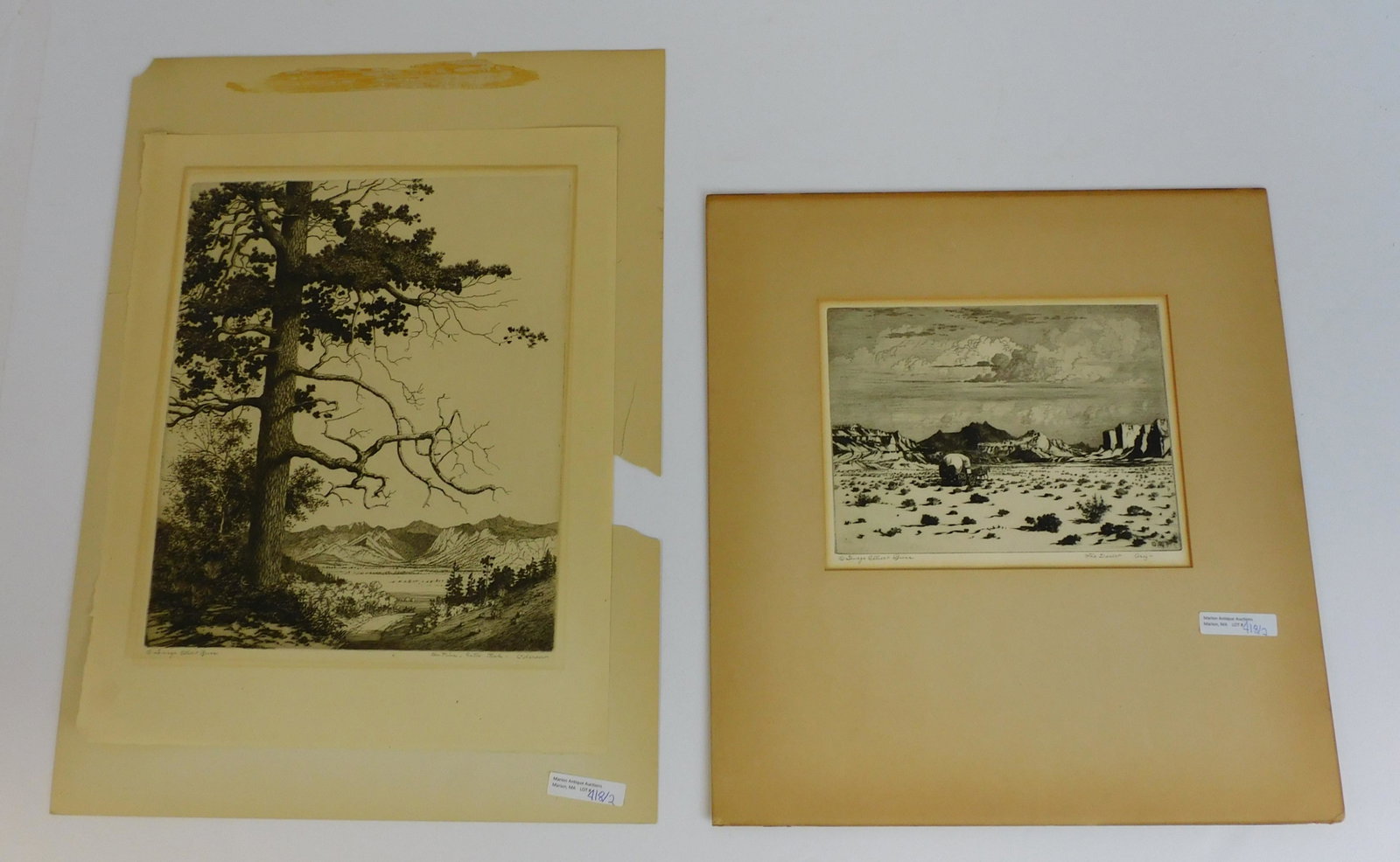George Elbert Burr (1859-1939, CO, AZ) lot of two: etchings. One is titled "Old Pine, Estes Park, CO", dated 1922, signed in plate lower right, and pencil signed lower left, 12" x 10", 15 1/2" x 12 1/4" overall paper size. The other is "The Desert, Ar