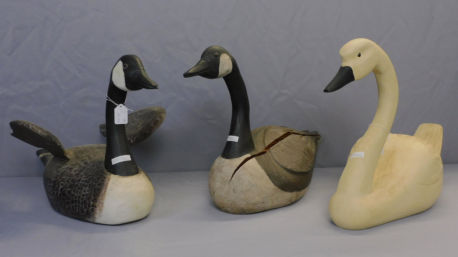 (3) large carved and painted wooden birds. To: include: Canada goose with wings out, 14 1/2" high, 24" long, 14" wide. A swan with incised feathers, 16" high, approx. 23" long, 8" wide. And a Canada goose, large crack, 15 1/2" high, 24" long, 9" w