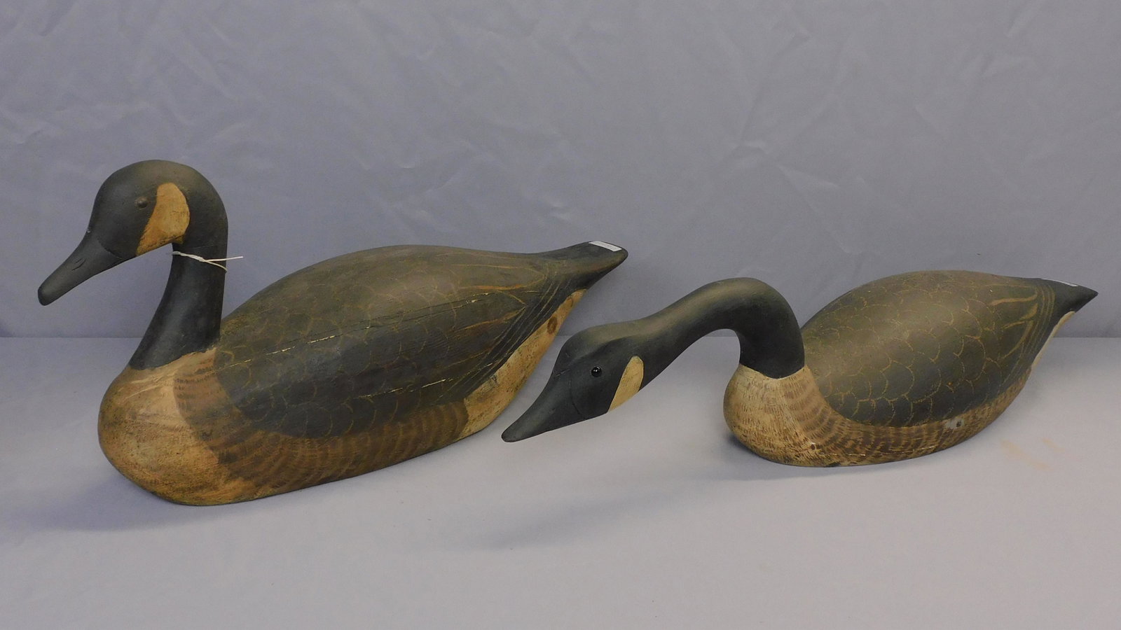 (2) Paul Carter (Middleboro, MA) carved and: painted Canada Geese. To include: Swimming Goose decoy, 32" long. The other is sitting, 24 1/2" long. One is stamped with what we believe is a fake Crowell stamp. One is possibly by Byron Bruffee.