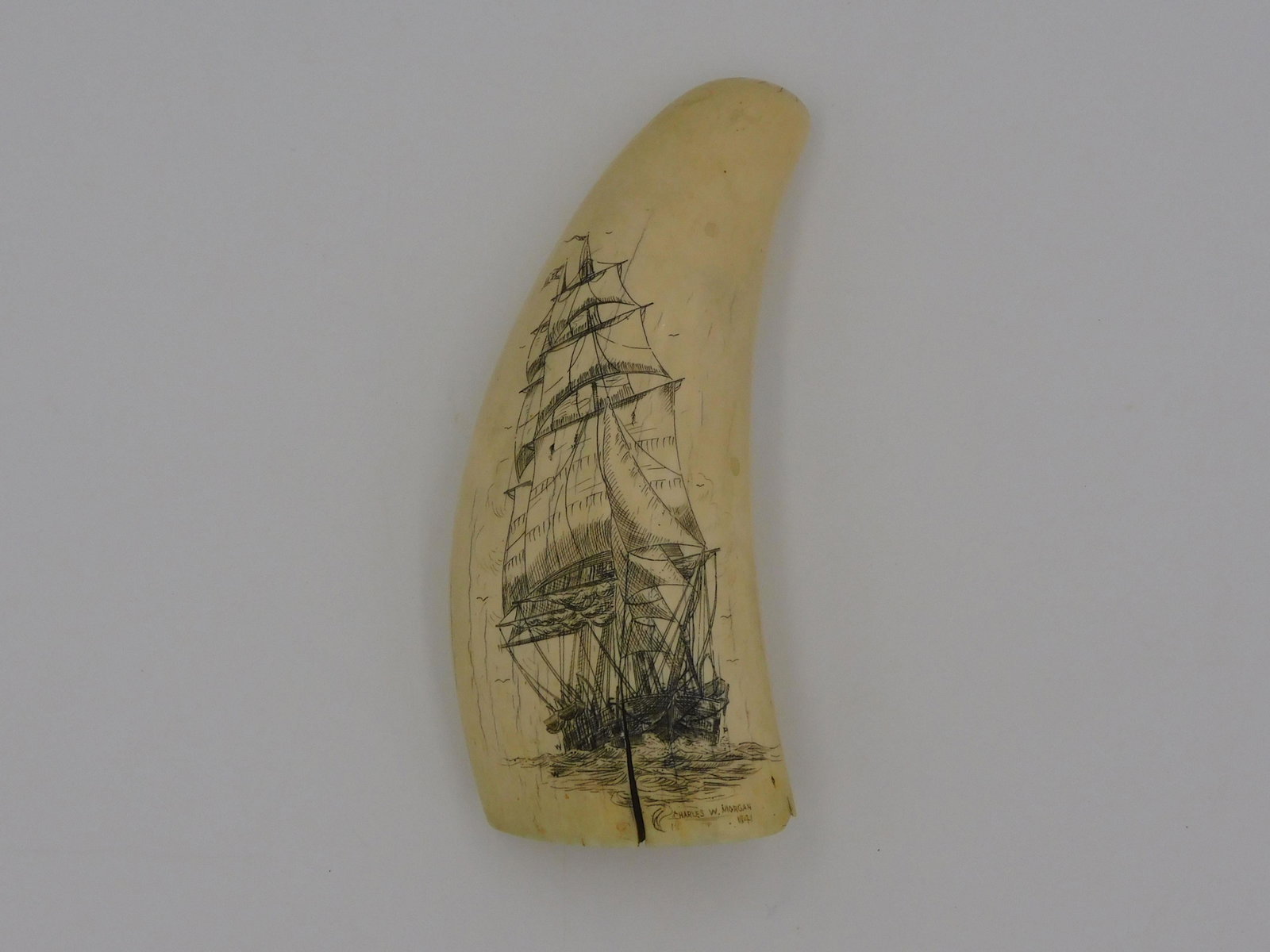 Scrimshaw Tooth. 20th century. A polished and: engraved sperm whale tooth of the Charles W Morgan under full sail of you towards the bow dated 1841 signed W. P. 6" x 2 1/2". Shows cracks. Cannot be shipped out of MA