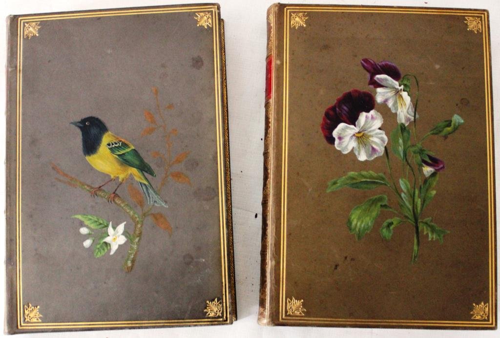 2 VOLUME LEATHER BOUND BOOKS “FAMILIAR: WILDFLOWERS” BY F. EDWARD HULME, COLORED PLATES, HAND PAINTED FLORAL DESIGN ON FRONT BOARDS, LONDON, PUBLISHED CASSELL, PETTER, GALPIN & CO, 7 ¾” X 5 ¼”, CIRCA 1880