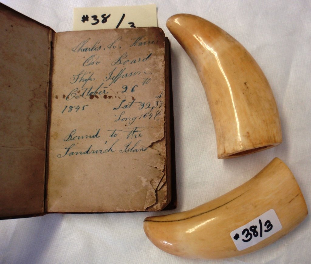 LOT OF 3 ITEMS: PAIR OF 19TH CENTURY WHALES TEETH: FOUND IN EARLY SOUTH DARTMOUTH HOUSE, ONE IS 5" LONG , OTHER IS 4 1/2", NICE PATINA, ALONG WITH A LEATHER BOUND BOOK INSCRIBED CHARLES C. HARRIS ON BOARD SHIP JEFFERSON (OUT OF SAG HARBOR, N.Y.), OCTO