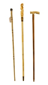 (3) Novelty Walking Sticks