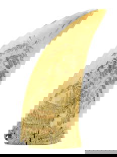 Scrimshaw Whale's Tooth: 19th C. Finely engraved polychrome portrait of a couple, possibly Captain John Smith and Pocahontas. Blank verso, finely polished both sides. 6 1/2" long. Shipping restriction: Please note this