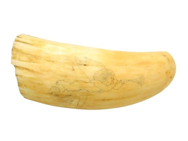 Scrimshaw Whale's Tooth on Stand