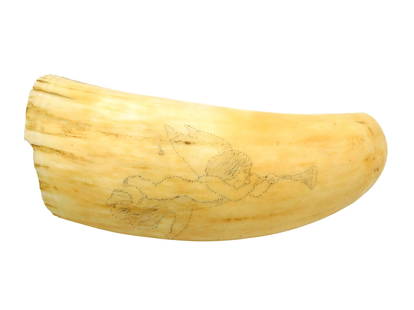 Scrimshaw Whale's Tooth on Stand: Dated 1867. Engraved image of a flying cherub with trumpet, recto. Engraved note on verso reads: "Given to F.J. Tay by Mrs. E.L. Fiske 1867". 6" long. Shipping restriction: Please note this lot