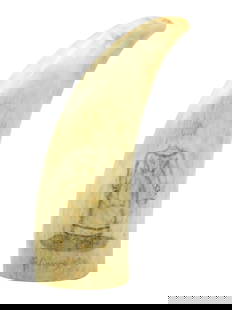 Scrimshaw Whale's Tooth: 19th C. Full-length portrait of a woman titled: "The Currency Lass". Polished tooth with monochrome engraving. Blank verso. 6" long. The Currency Lass is likely a reference to an Australian play of