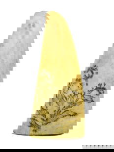 Scrimshaw Whale's Tooth: 19th C. Monochrome engraved tooth on a polished surface with thistle design. Blank verso. 5" long. Shipping restriction: Please note this lot is not available to be sold or shipped internationally.