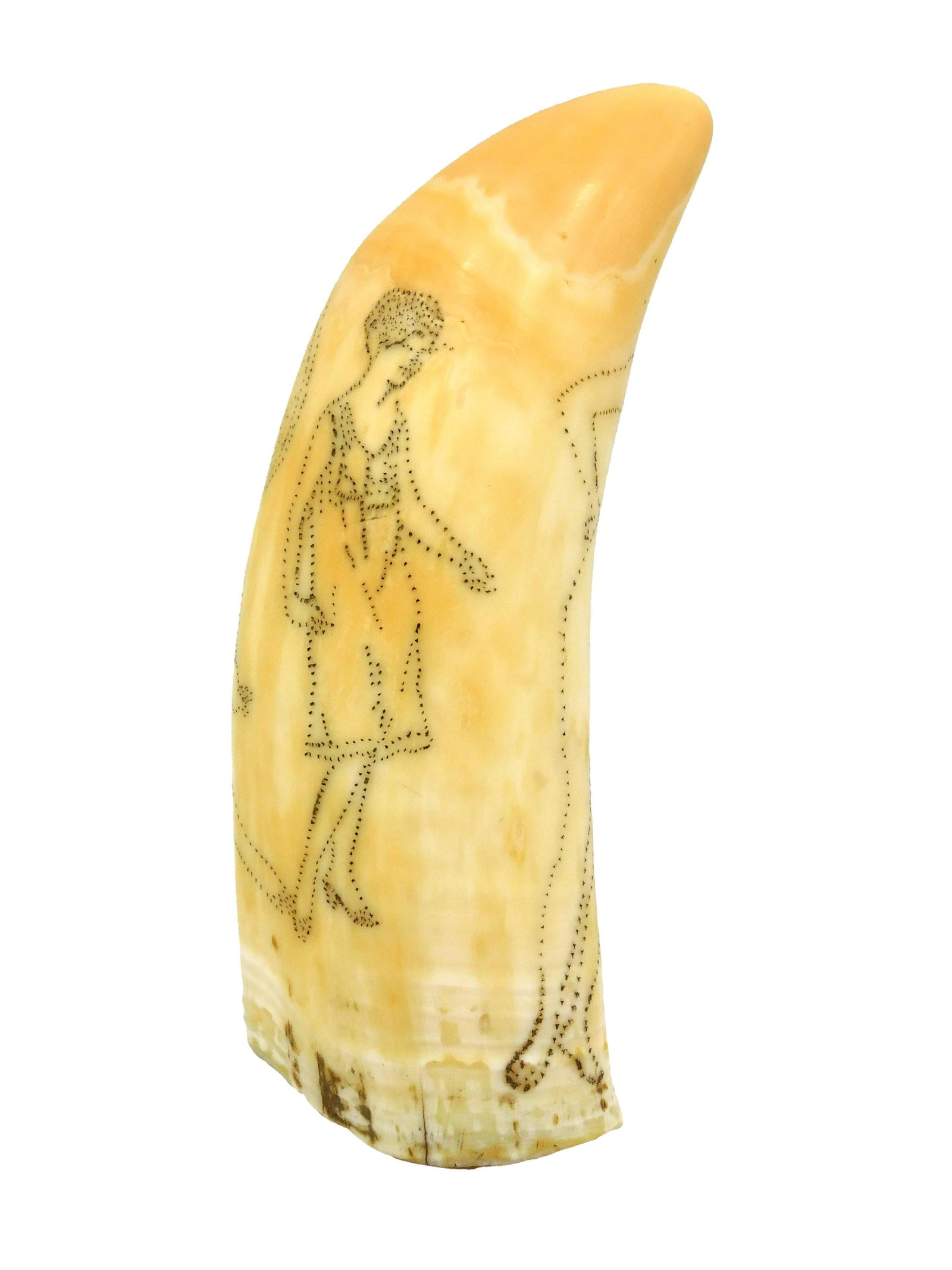 Scrimshaw Whale's Tooth: 19th/20th C. An unusual stipple engraved tooth featuring three women in various attire. 5 1/4" long. Shipping restriction: Please note this lot is not available to be sold or shipped internationally. 
