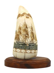 Scrimshaw Whale's Tooth by Robert Spring
