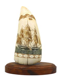Scrimshaw Whale's Tooth by Robert Spring: (American, 1938-2016). Dated 1974. Polished and engraved polychrome tooth on custom wooden stand. Recto features an engraved eagle over an American whale ship / cutting-in scene. Verso features an