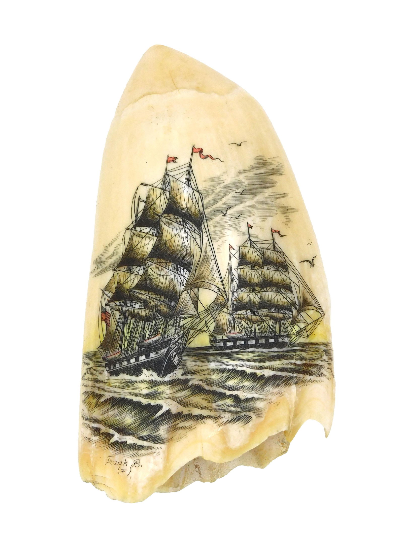 Scrimshaw Whale's Tooth with Ships Under Sail: 20th C. A polished and polychrome engraved tooth with two American ships under sail. Signed "Frank B. (F)", probably Frank Banfield. Blank verso. 5 1/2" long. Shipping restriction: This lot is not ava