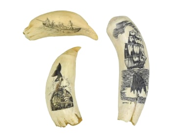 (3) Scrimshaw Whale Teeth
