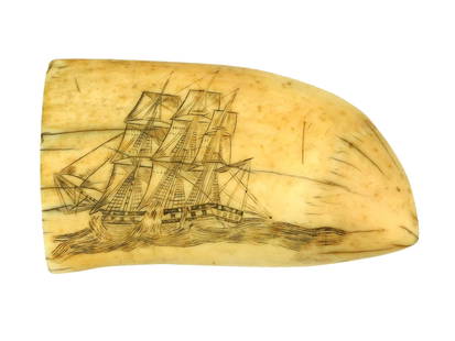 Scrimshaw Whale's Tooth: 19th C. Monochrome. Polished sperm whale tooth featuring a ship under sail in heavy seas. Blank verso. 5" long. Shipping restriction: Please note this lot is not available to be sold or shipped