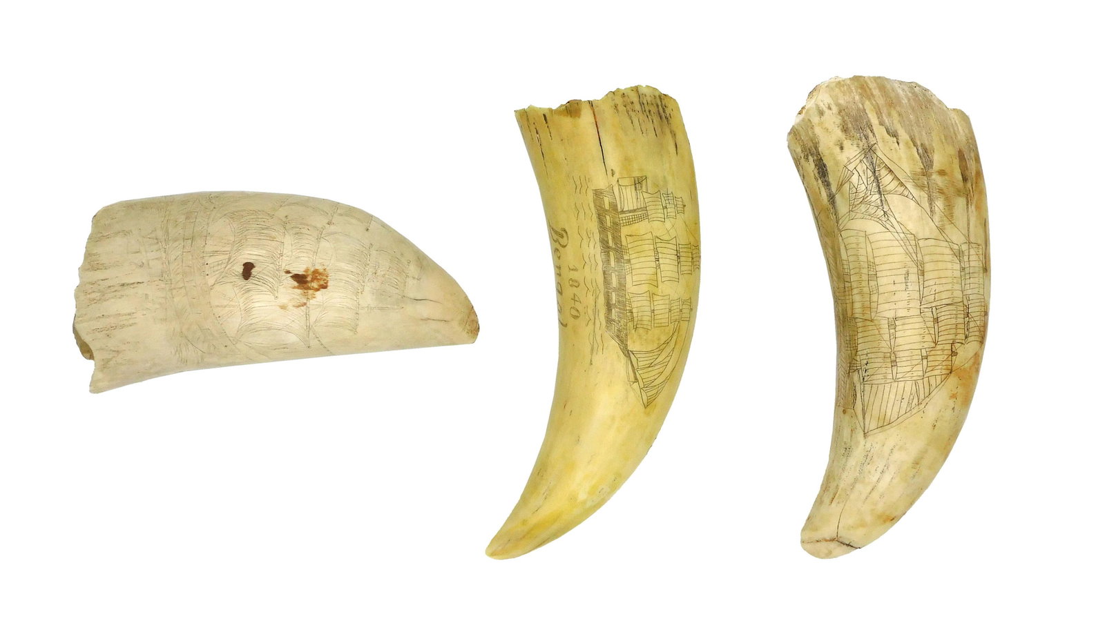 (3) Scrimshaw Whale Teeth: 20th C. To include: (A) Polished and engraved monochrome sperm whale tooth. Features on recto an American ship under sail "Homeward Bound / 1840 / Bengal". Verso features a bird's eye farm view. 7" lo