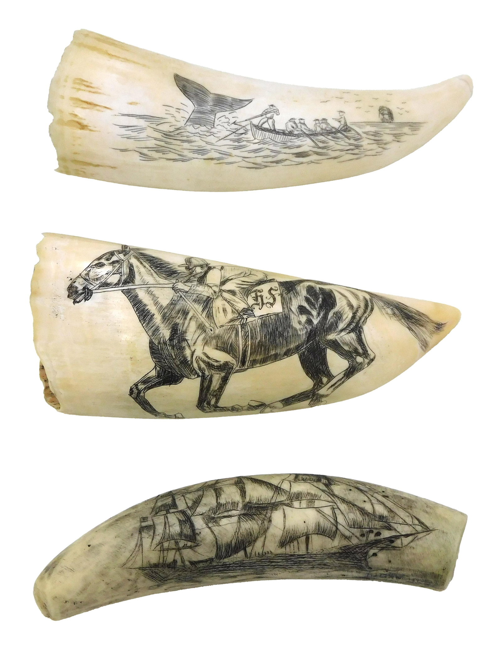 (3) Scrimshaw Whale Teeth: 20th C. To include: (A) Polished and engraved monochrome sperm whale tooth featuring a jockey on horseback. Blank verso. 5". (B) Polished and engraved monochrome sperm whale tooth featuring a whaling 