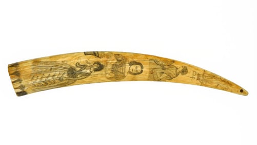 Scrimshaw Walrus Tusk